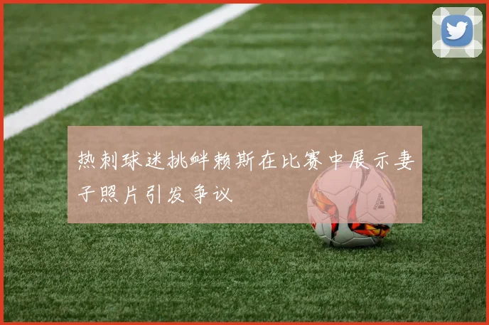 热刺球迷挑衅赖斯在比赛中展示妻子照片引发争议