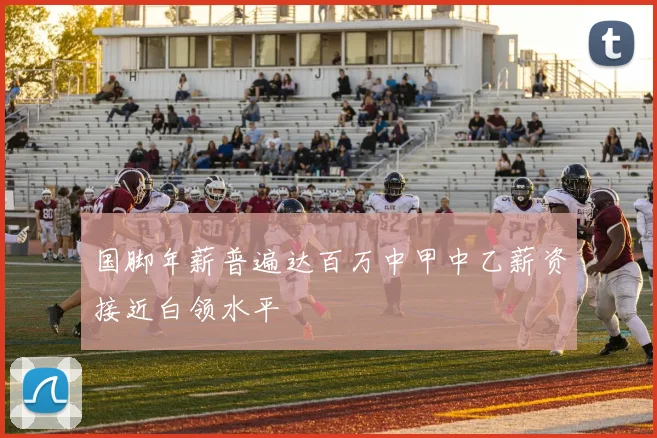 国脚年薪普遍达百万中甲中乙薪资接近白领水平